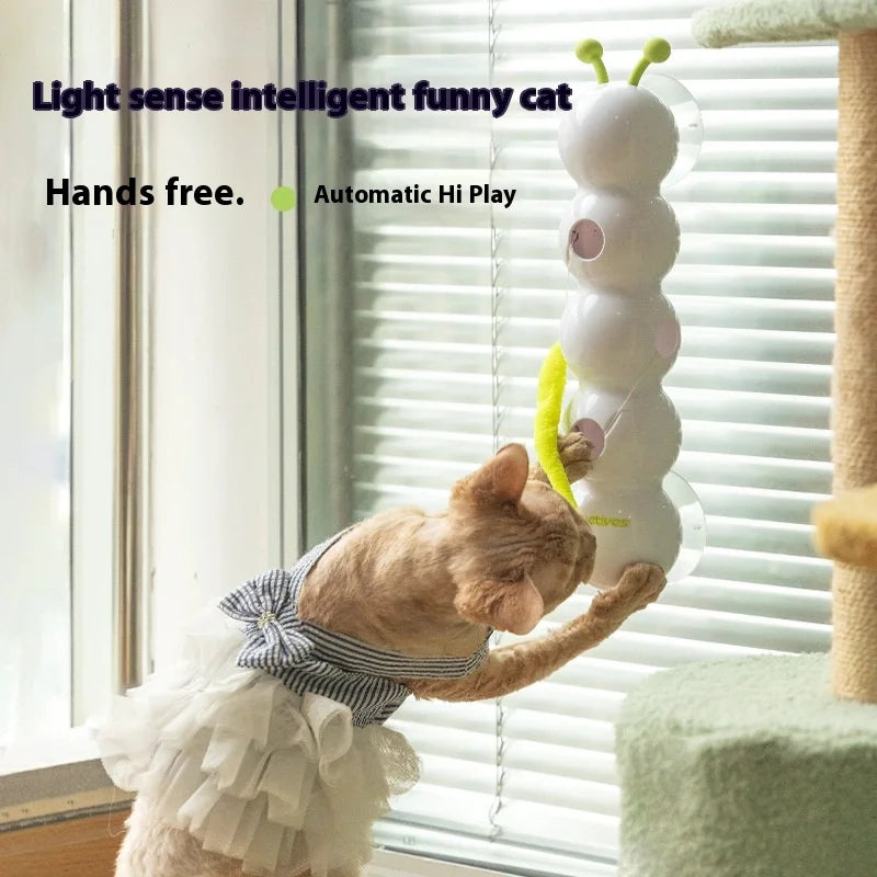 Intelligent interactive cat toy
