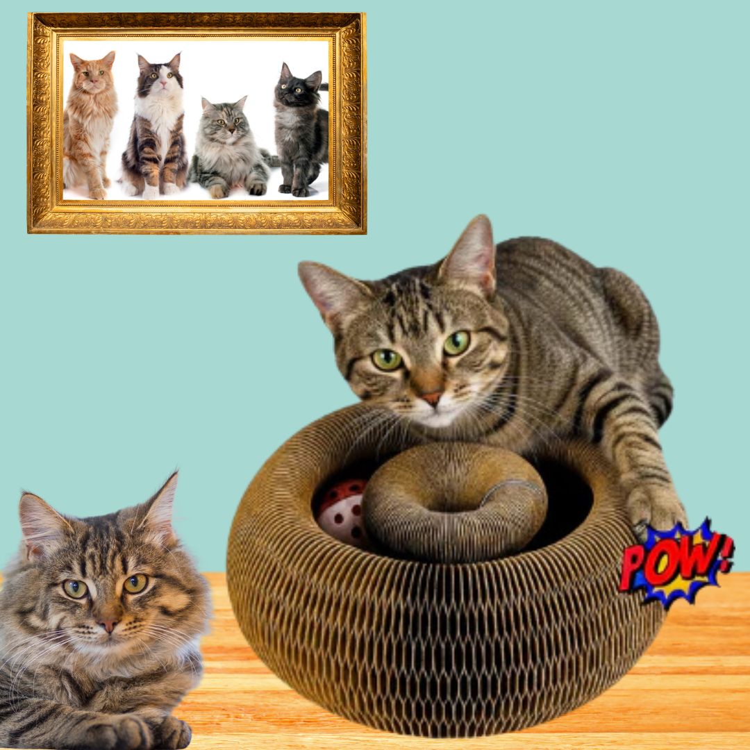 FlexiPaw Cat Scratcher