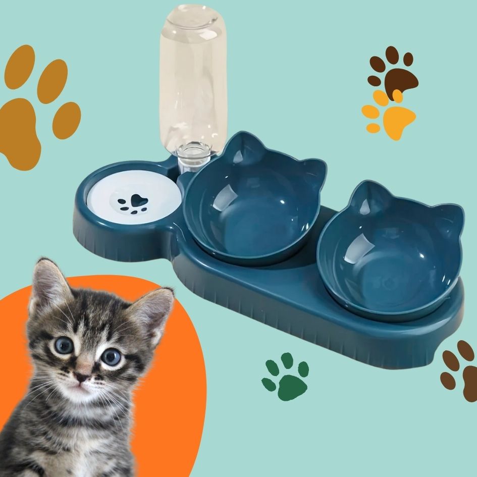 3-in-1 Tilted Cat Bowl with Water Feeder