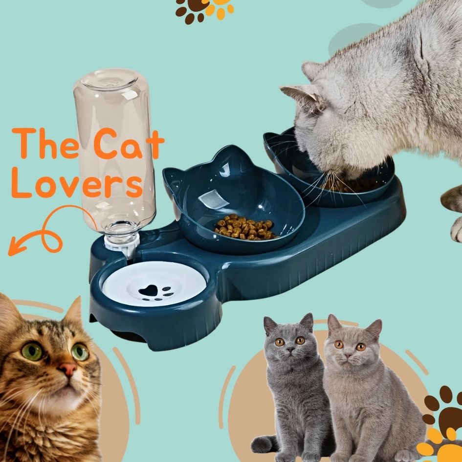 3-in-1 Tilted Cat Bowl with Water Feeder