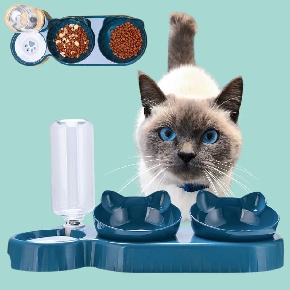 3-in-1 Tilted Cat Bowl with Water Feeder