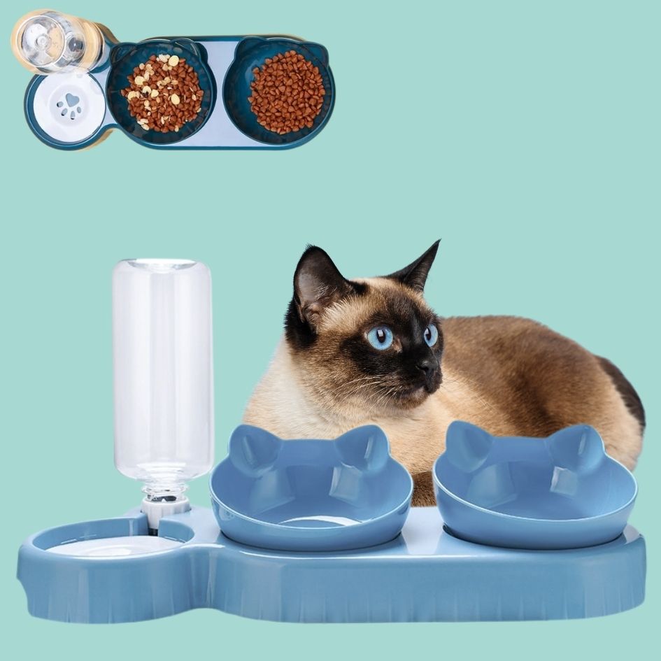 3-in-1 Tilted Cat Bowl with Water Feeder