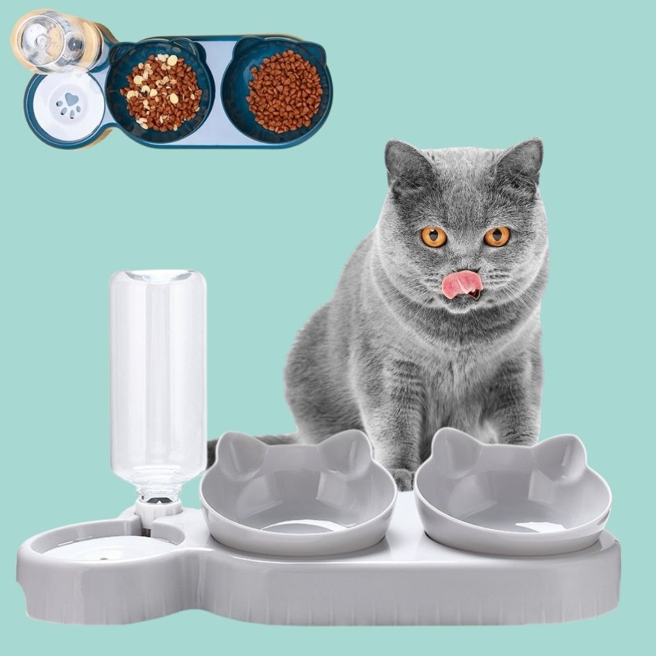 3-in-1 Tilted Cat Bowl with Water Feeder