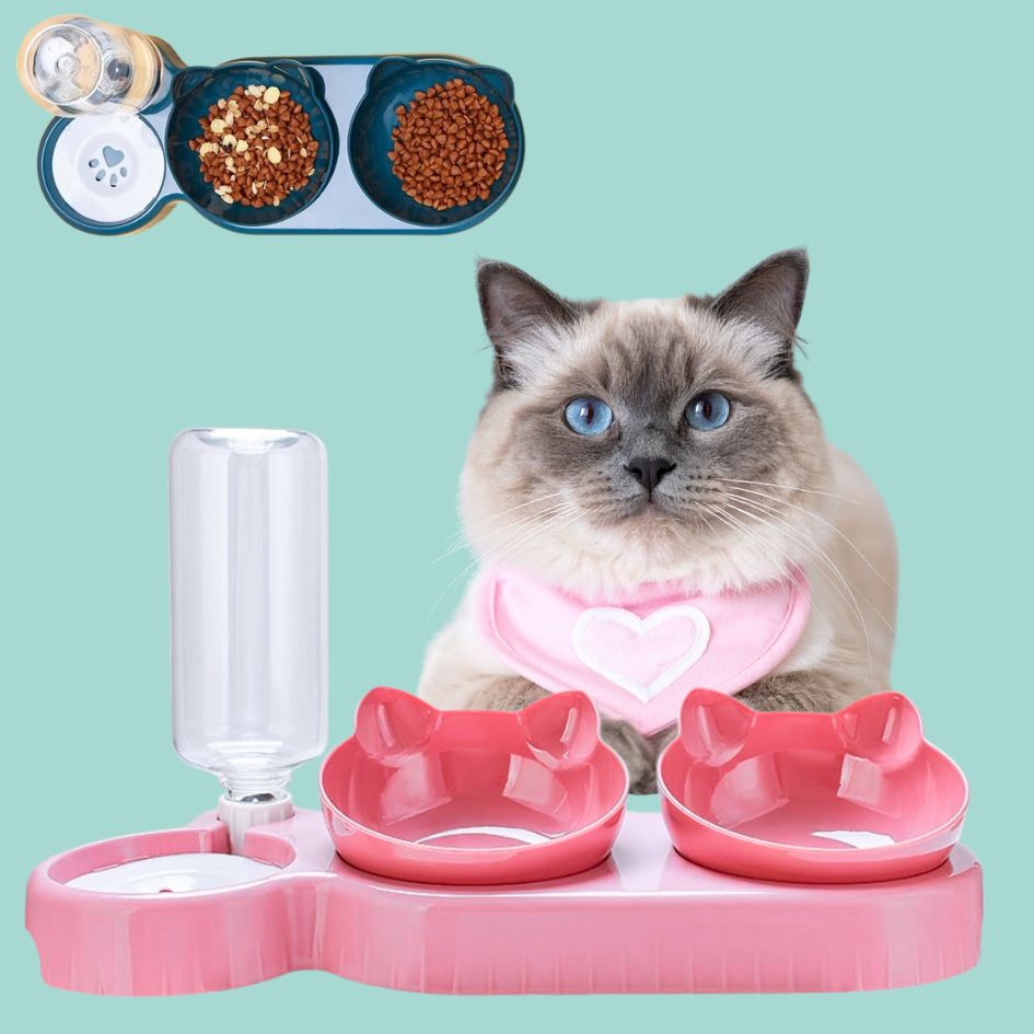 3-in-1 Tilted Cat Bowl with Water Feeder