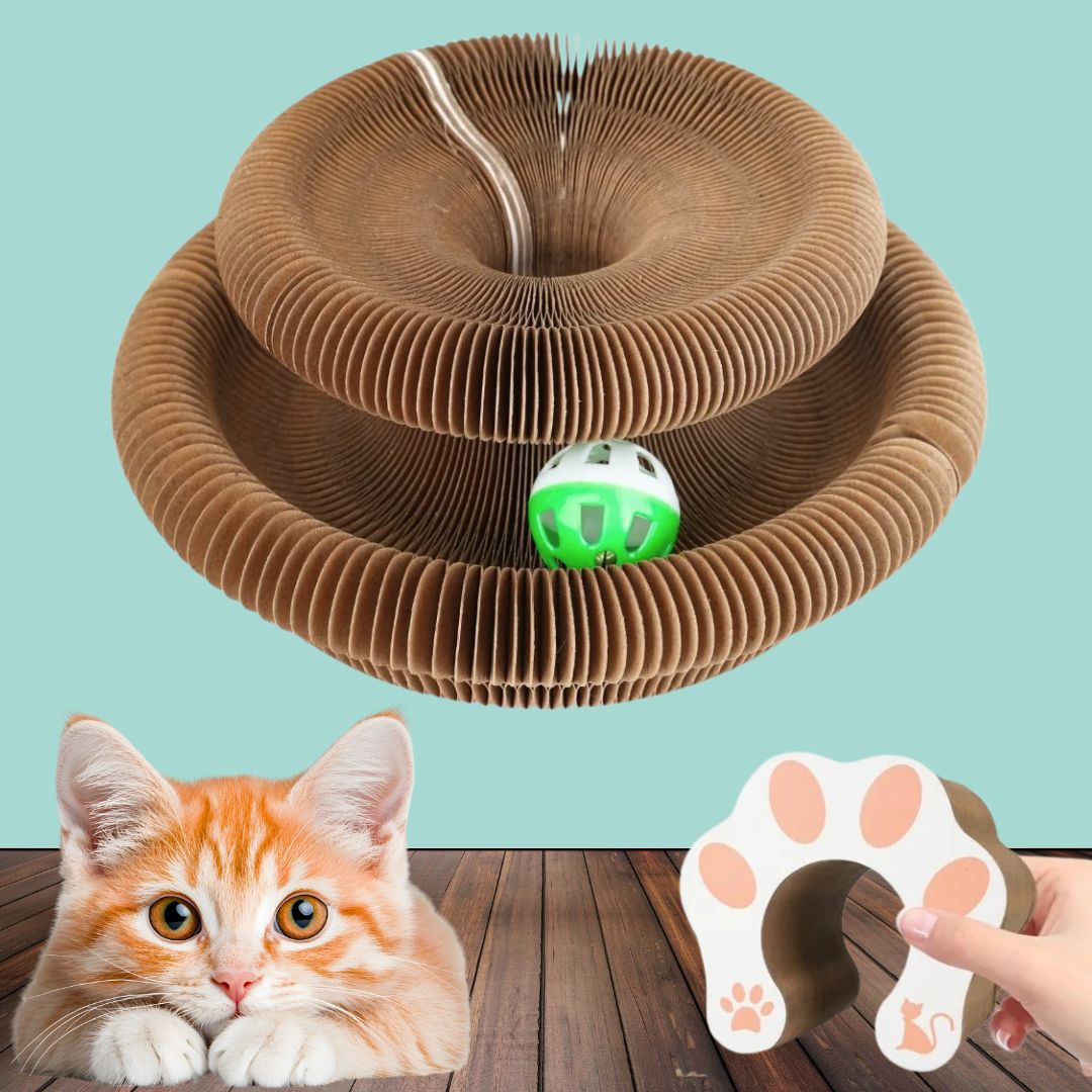 FlexiPaw Cat Scratcher