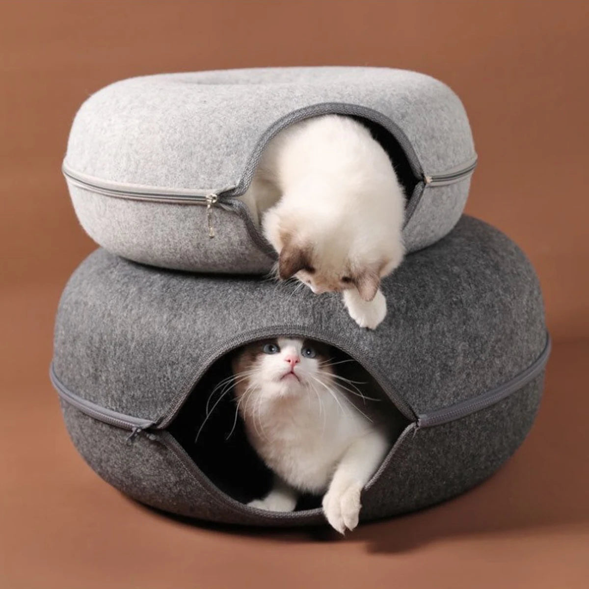 2-in-1 Donut Cat Tunnel Bed