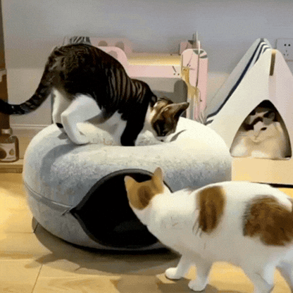 2-in-1 Donut Cat Tunnel Bed